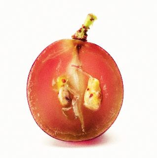 Resveratrol is a natural anti-oxidant in grapes that contains multiple health benefits