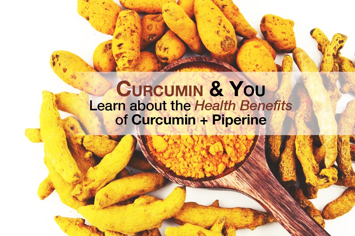 Understand the Benefits & Definition of Curcumin & Piperine