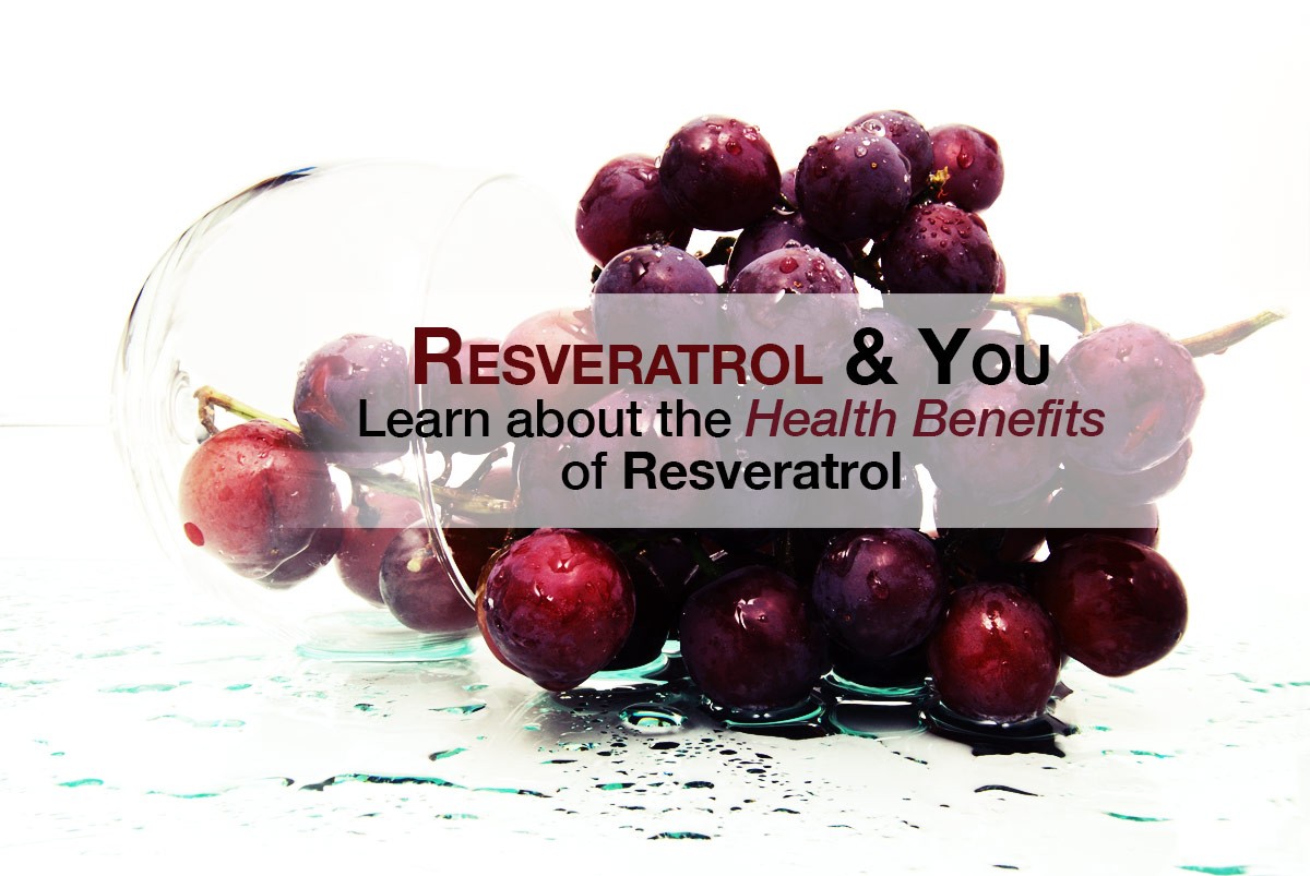 Learn about the health benefits of Resveratrol, antioxidant in grape skin